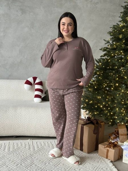 Тепла жіноча піжама PLUS SIZE з мікрофлісу DO3920 фото